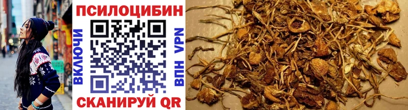 Псилоцибиновые грибы Psilocybe  наркота  Ленск 
